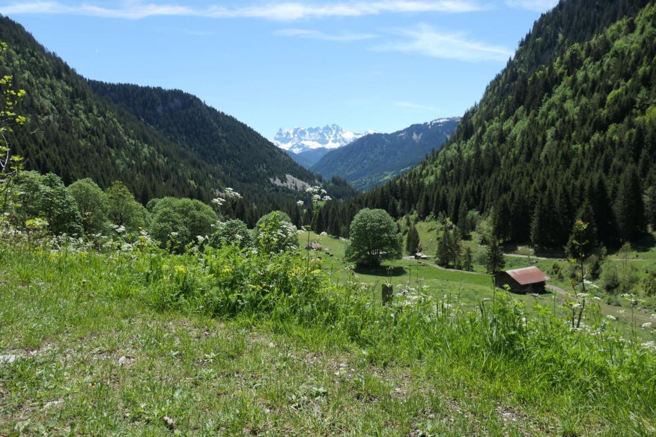 Chalet Cannelle Chatel Luaran gambar